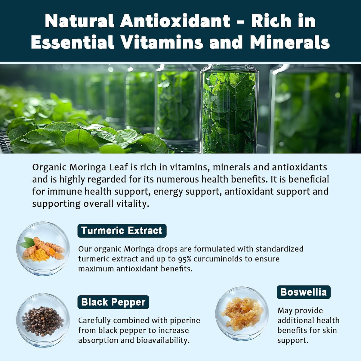 (2 Pack) Organic Moringa Leaf Extract Liquid Drops with Turmeric, Boswellia – Energy, Antioxidant, Skin & Immune Support – Vegan, Sugar-Free, 30 ml - görsel 5