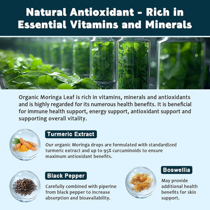 (2 Pack) Organic Moringa Leaf Extract Liquid Drops with Turmeric, Boswellia – Energy, Antioxidant, Skin & Immune Support – Vegan, Sugar-Free, 30 ml