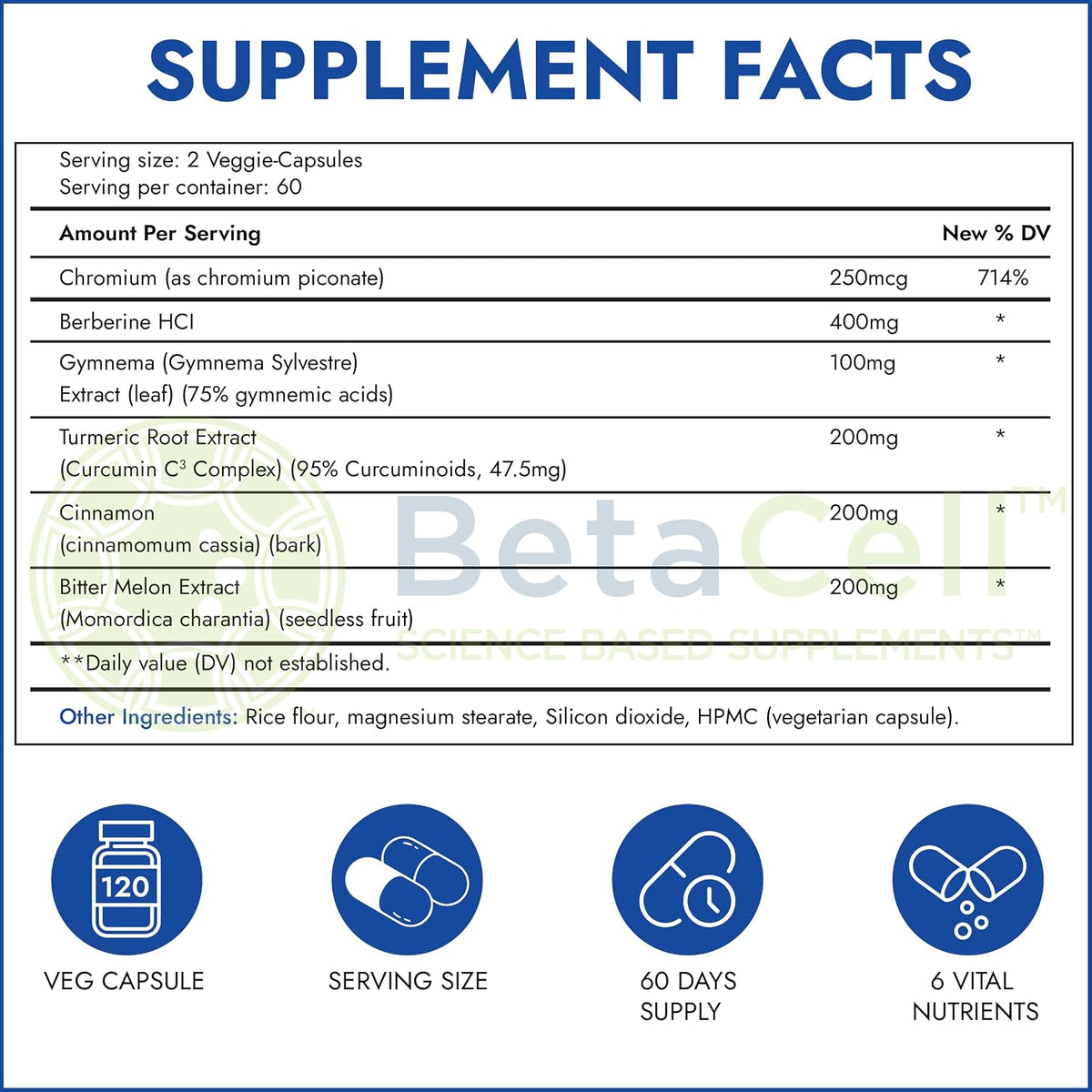 Glucofix Blood Sugar Support Supplement – Advanced Berberine Supplement with Ceylon Cinnamon, Turmeric & Bitter Melon – 120 Capsules - görsel 3