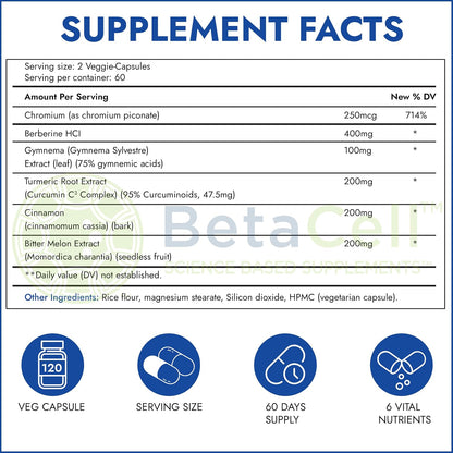 Glucofix Blood Sugar Support Supplement – Advanced Berberine Supplement with Ceylon Cinnamon, Turmeric & Bitter Melon – 120 Capsules
