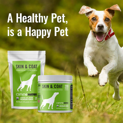 Canine Organic Mushroom Powder Skin and Coat Supplement, 200 Grammes (Packaging May Vary)