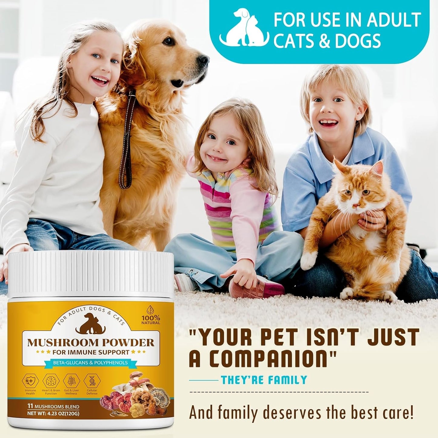 Organic Mushroom Supplement Powder for Dogs & Cats – 11 Mushroom Complex with Turkey Tail, Reishi & Cordyceps, Supports Lipoma, Lumps & Bumps Relief, Immune & Skin Health, 120g - görsel 7