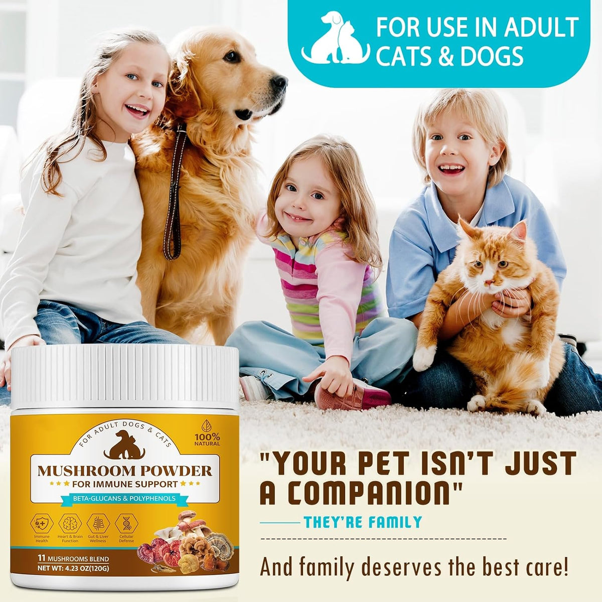 Organic Mushroom Supplement Powder for Dogs & Cats – 11 Mushroom Complex with Turkey Tail, Reishi & Cordyceps, Supports Lipoma, Lumps & Bumps Relief, Immune & Skin Health, 120g - görsel 7