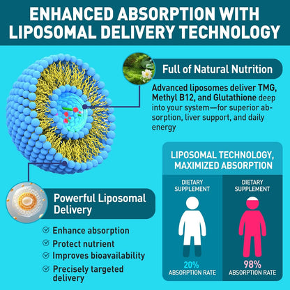HOLLEGEND Liposomal TMG Supplement Liquid Drops - 1000 mg Trimethylglycine (Betaine Anhydrous) for Methylation Support - Non-GM, Vegan, Blueberry Flavour - 60 ml