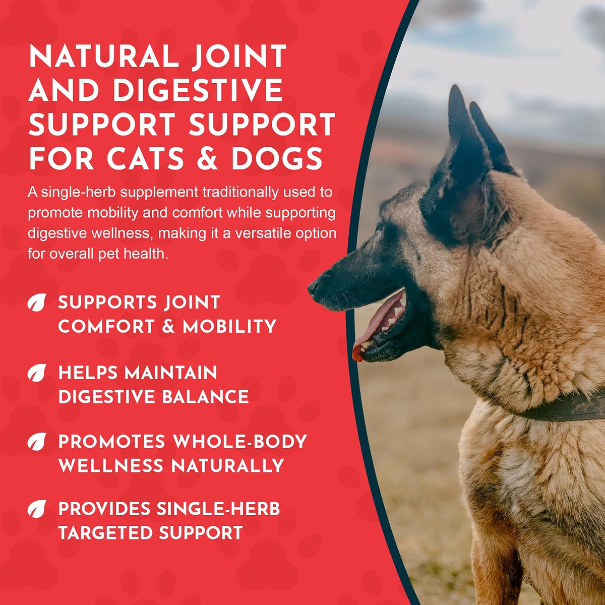 Yucca - Hip and Joint Yucca Root Supplement for Dogs & Cats, Liquid Herbal Care Drops for Senior Dogs & Older Pets, Digestion & Immune Support, Antioxidant Boost - 30 ml - görsel 6