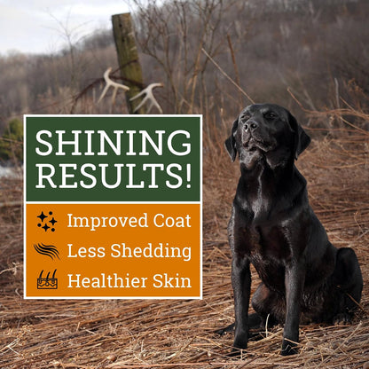 DogBone Omega 3 Fish Oil for Dogs - Wild-Caught Salmon & Pollock, EPA + DHA for Joint, Skin, Heart & Recovery - 946ml Pump