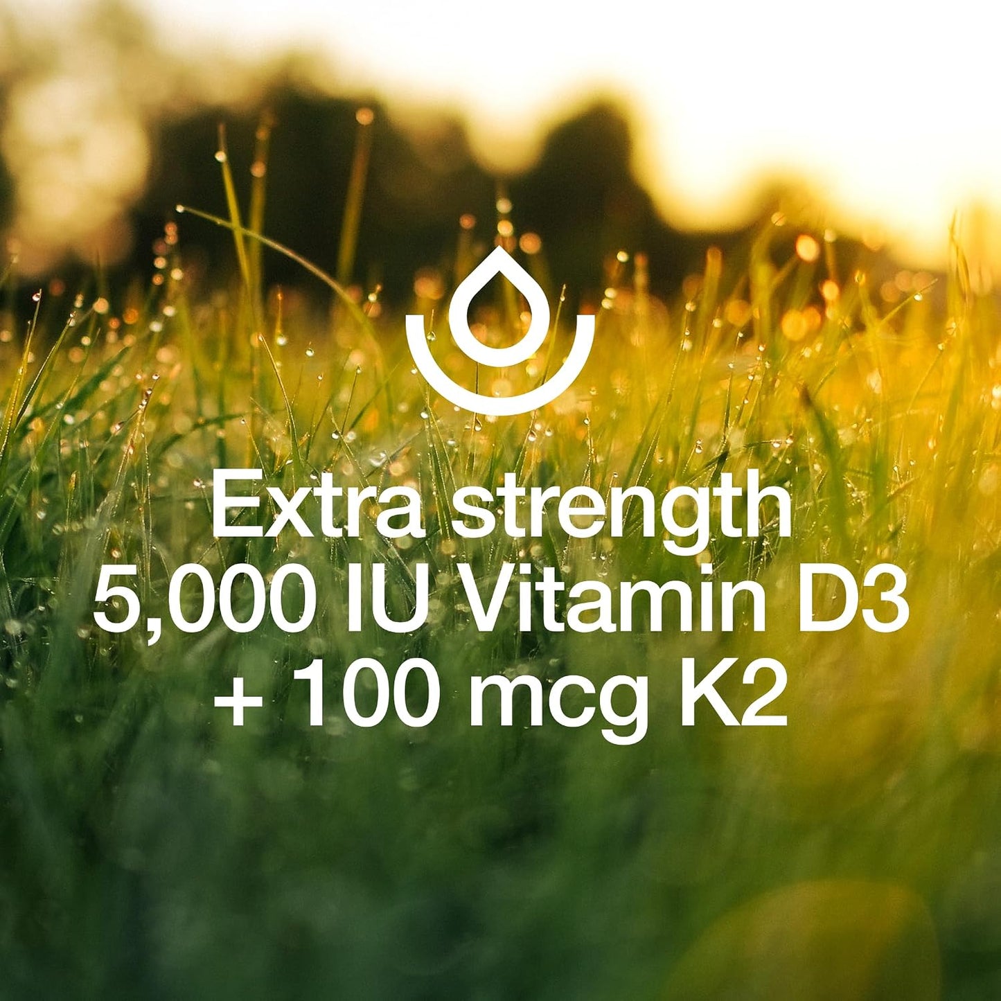 Fresh Nutrition Vegan Vitamin D3 + K2 Capsules - 5000 IU D3 + 100mcg K2 as MK-7 for Optimal Absorption - Immune Health, Bone Health - Non GMO - 90 Capsules, 3 Month Supply - görsel 5