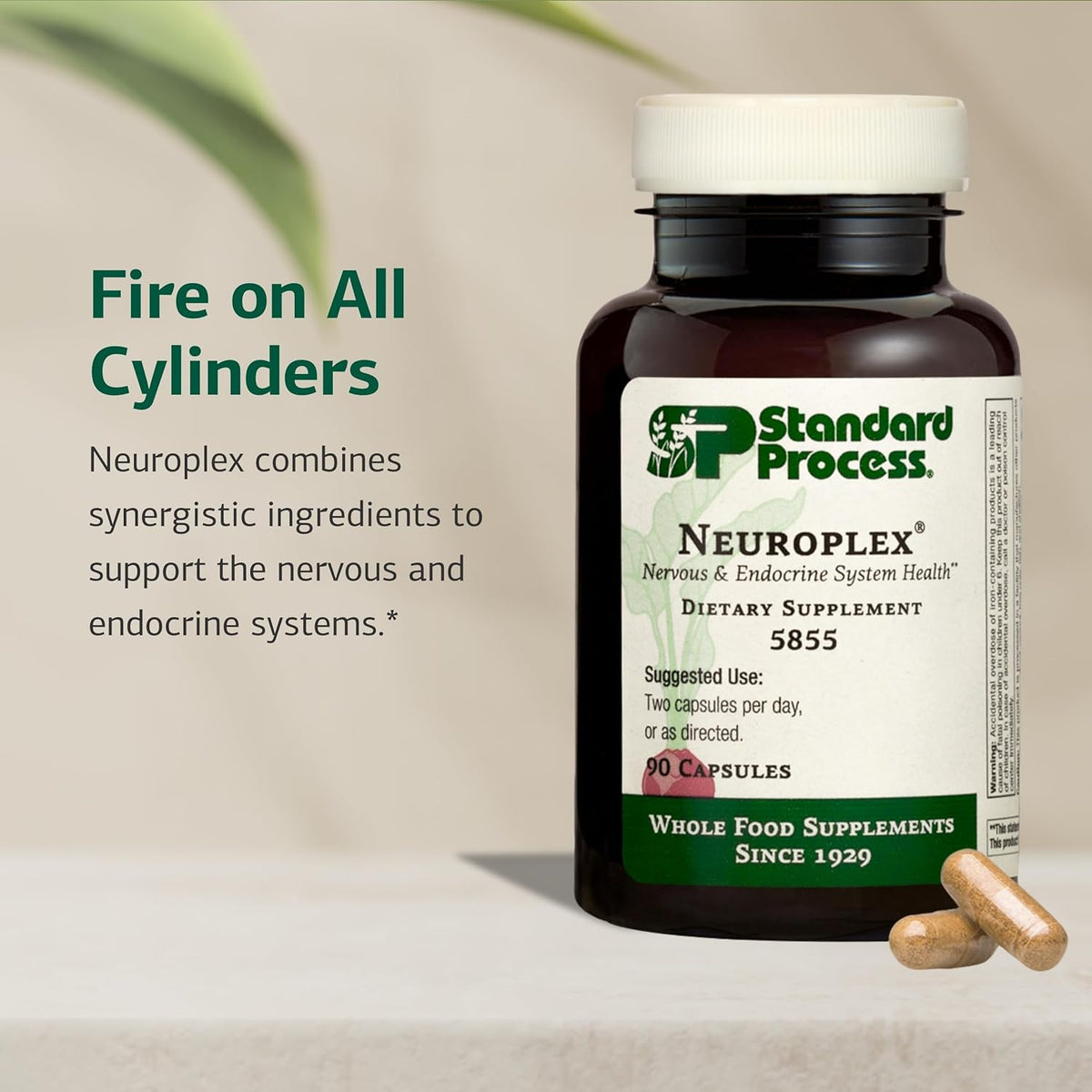 Standard Process Neuroplex – Nervous and Endocrine System Support – 90 Capsules - görsel 3