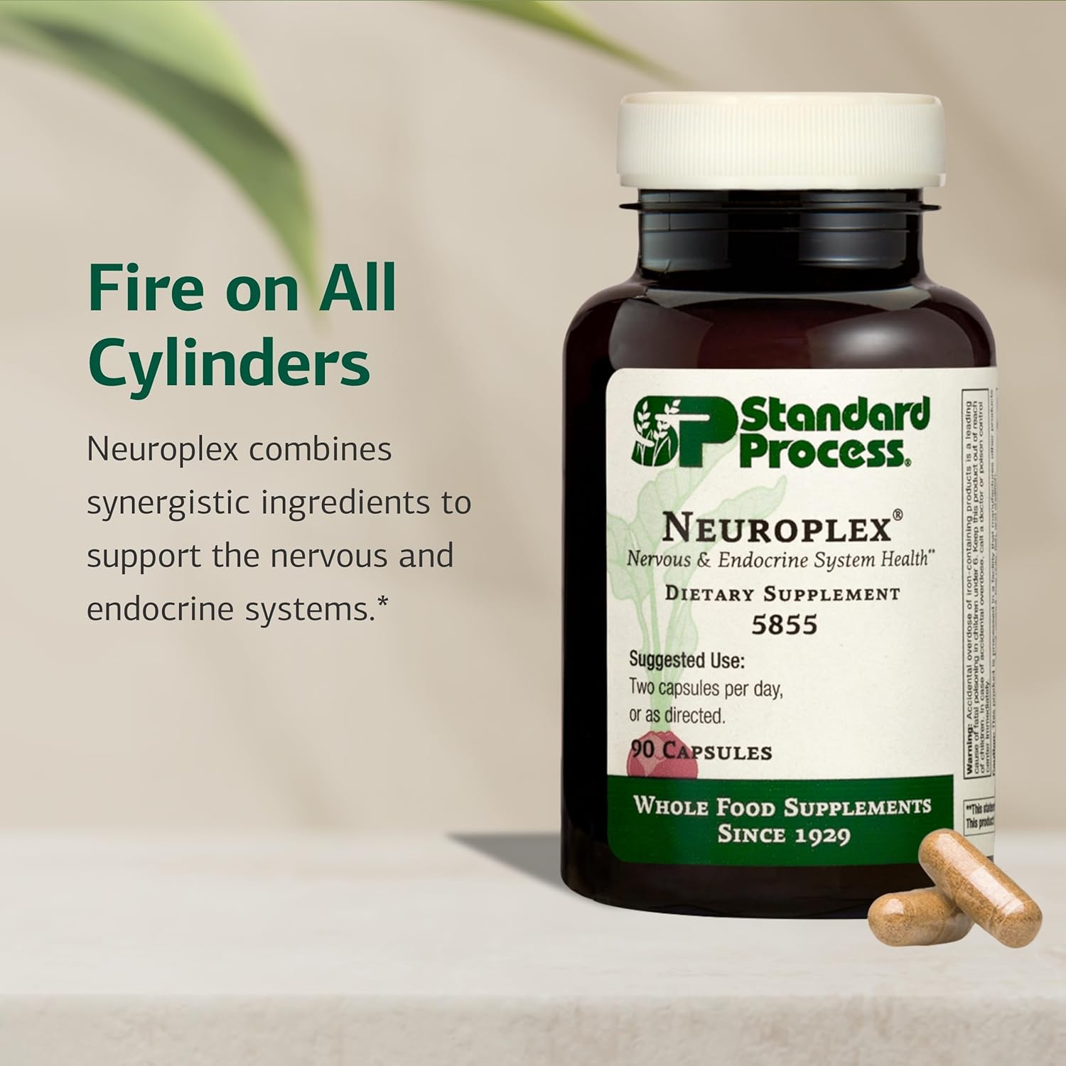Standard Process Neuroplex – Nervous and Endocrine System Support – 90 Capsules - görsel 3