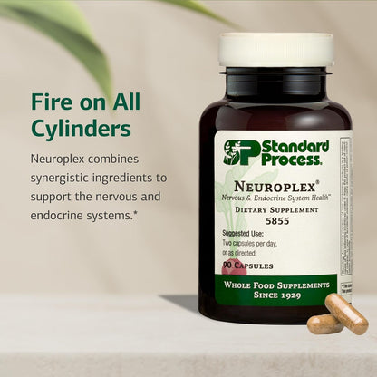Standard Process Neuroplex – Nervous and Endocrine System Support – 90 Capsules