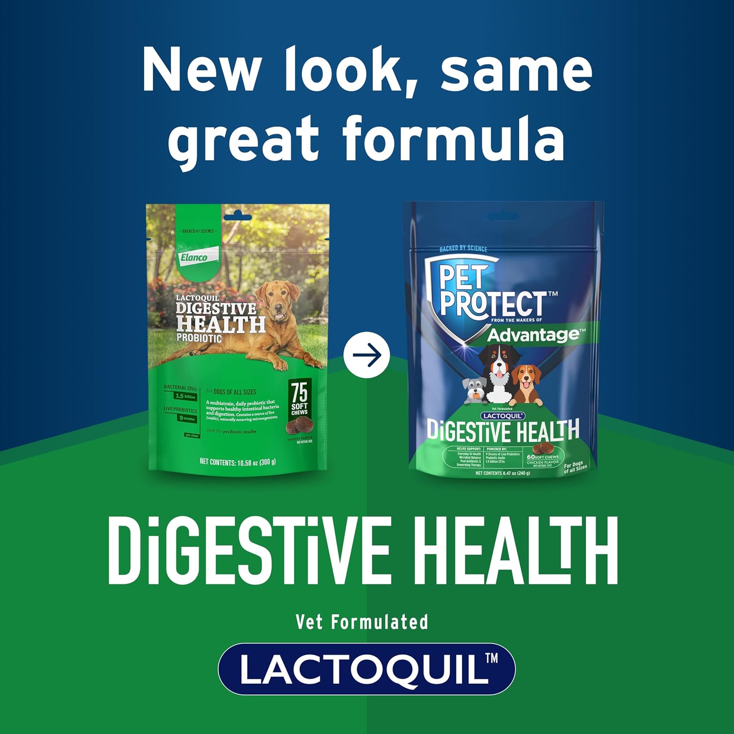 Pet Protect Digestive Health Supplement with Probiotics for Dogs, Vet-Formulated Lactoquil, Chicken-Flavoured Soft Chews (60 Count) - görsel 3