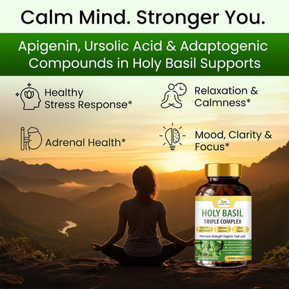 Organic Veda Holy Basil Capsules - Triple Complex Tulsi Leaf Supplement with Black Pepper Extract - Supports Respiratory & Immune Health, Helps Maintain a Balanced Stress Response & Mood - 60 Vegan Capsules