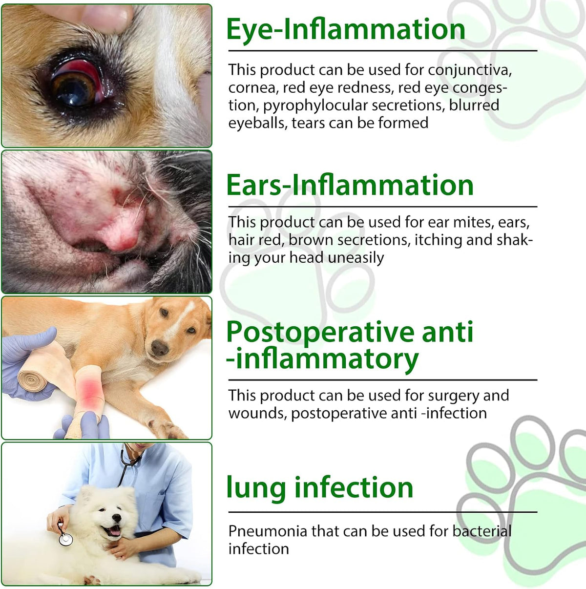 ALIVO Natural Antibiotics for Dogs - Supports Allergy and Itch Relief, Dog Multivitamin, Bacon Flavour - 60ml x 2 - görsel 5