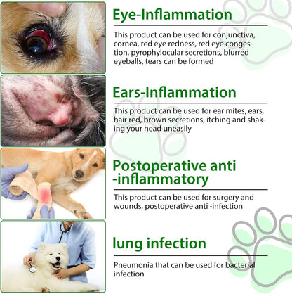 ALIVO Natural Antibiotics for Dogs - Supports Allergy and Itch Relief, Dog Multivitamin, Bacon Flavour - 60ml x 2