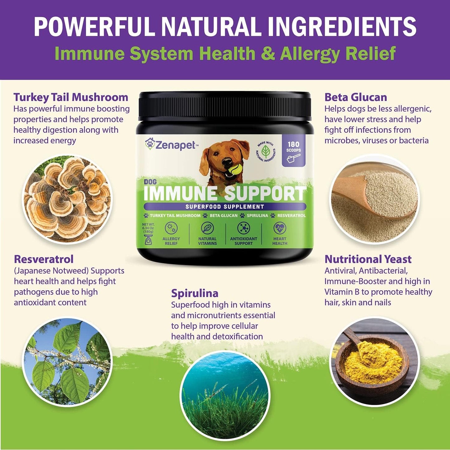Zenapet Dog Immune Support Premium Powder Topper - Turkey Tail, Spirulina & Beta-Glucan - Supports Immune System & Digestion - Human-Grade - Made in the USA - görsel 3