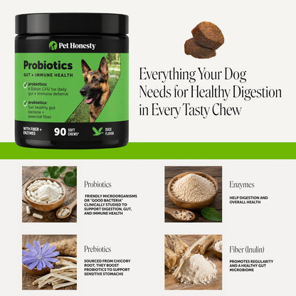 6 Billion CFU Dog Probiotics with Prebiotics, Digestive Enzymes, & Fibre - Relief for Occasional Diarrhoea, Gas, Bloating & Itchy Skin - Daily Gut Health & Immune Support for All Dogs (Duck, 90 Chews)