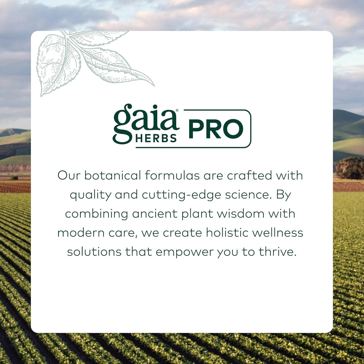 Gaia Herbs PRO GI-BFF – Digestive Health Support with Organic Fennel & Cinnamon Bark – 60 Capsules - görsel 7
