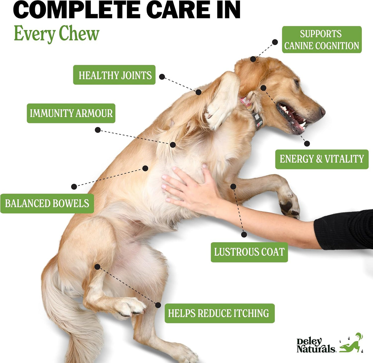 Deley Naturals 15 in 1 Multivitamin for Dogs - Complete Dog Vitamins and Supplements for Immune Support, Joint, Skin, Digestion, Heart & Overall Health - Daily Multifunction Supplements - 120 Chews - görsel 3