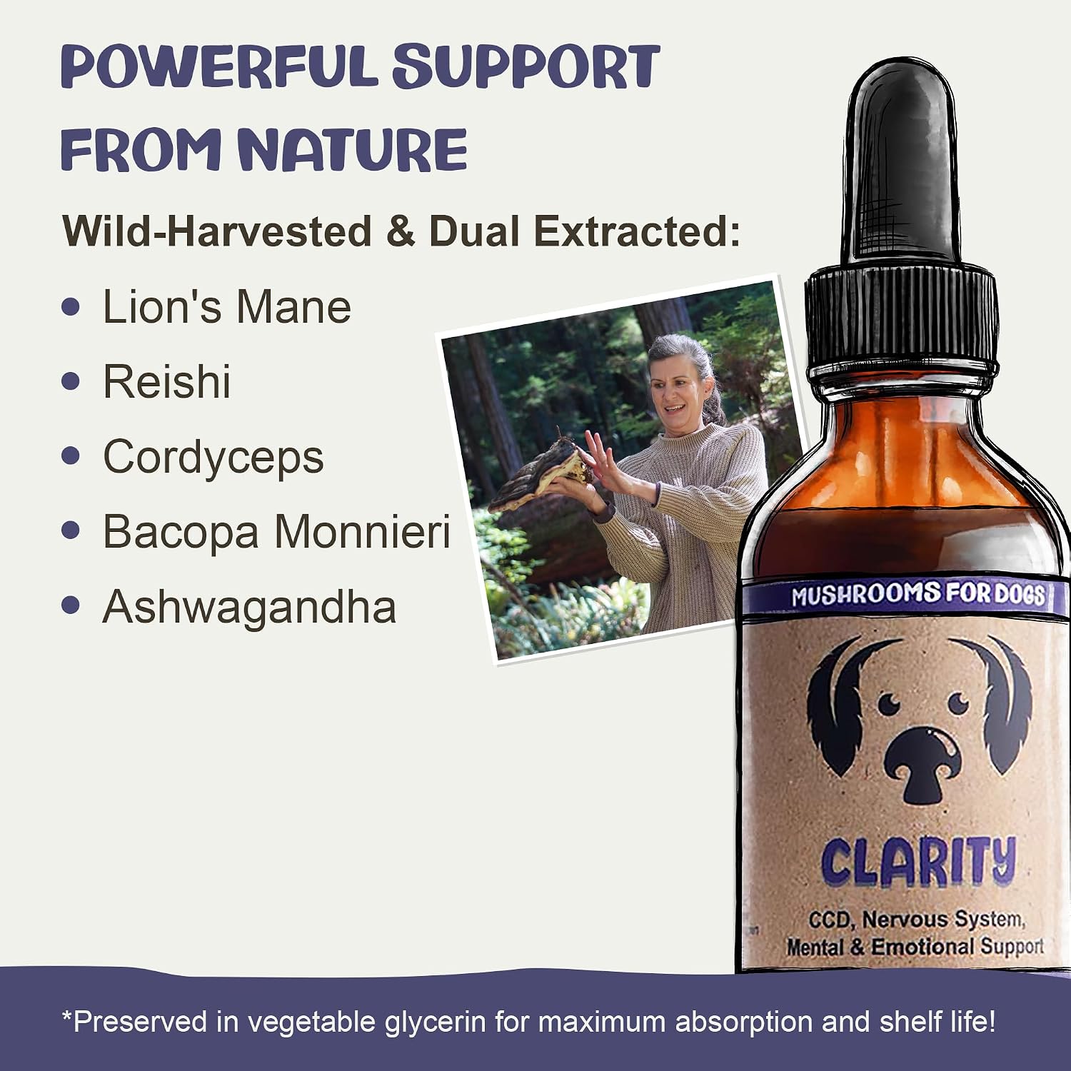 Clarity - Cognitive Support Mushroom Supplement for Dogs - Brain Health, Memory and Focus Support with Adaptogens for Ageing Dogs - görsel 4