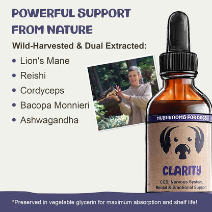 Clarity - Cognitive Support Mushroom Supplement for Dogs - Brain Health, Memory and Focus Support with Adaptogens for Ageing Dogs