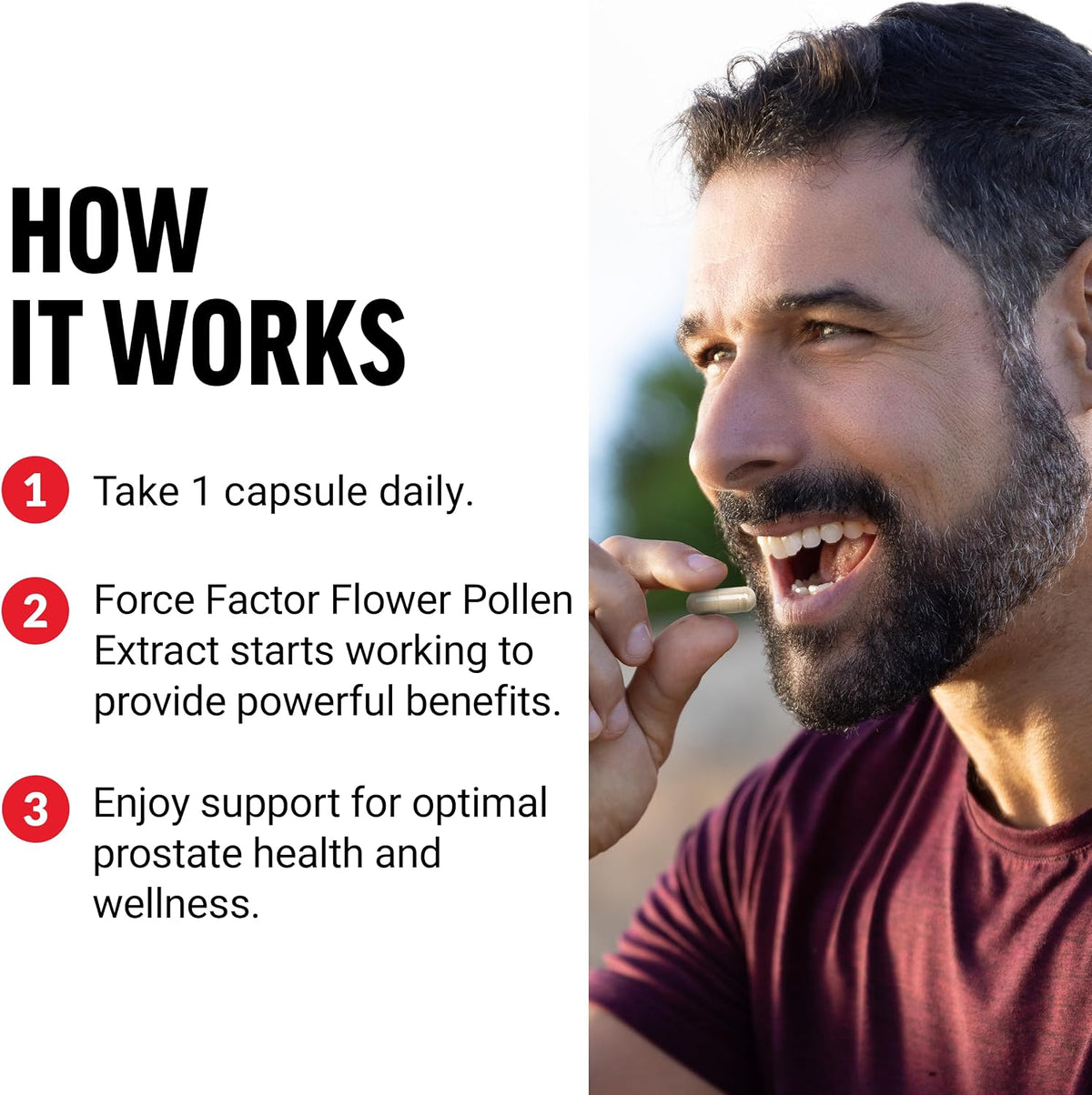 Force Factor Flower Pollen Prostate Support Supplement (500mg, 60 Capsules) - görsel 4
