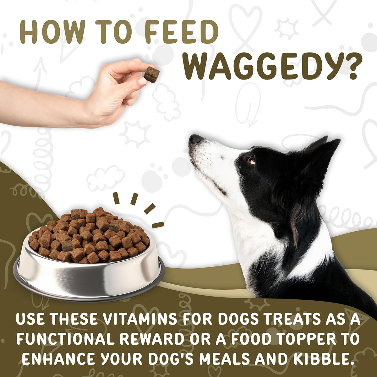 Waggedy Daily Essentials Adult Soft Chews – Dog Multivitamin & Immune Support (120 Chews) - görsel 5