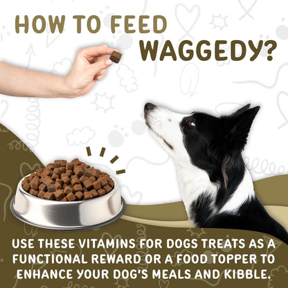 Waggedy Daily Essentials Adult Soft Chews – Dog Multivitamin & Immune Support (120 Chews)