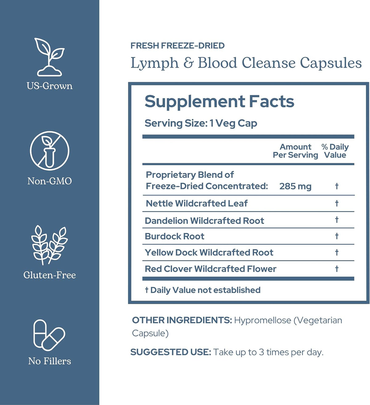 Eclectic Herb Lymph & Blood Cleanse Capsules - Herbal Supplement for Lymphatic & Circulatory Support - 45 Capsules - görsel 2