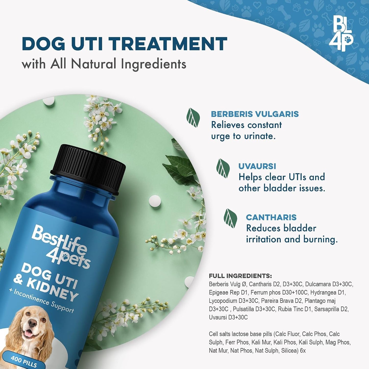 BestLife4Pets Dog UTI & Kidney Health Formula – Natural Urinary Support – 400 Tiny Pills - görsel 8