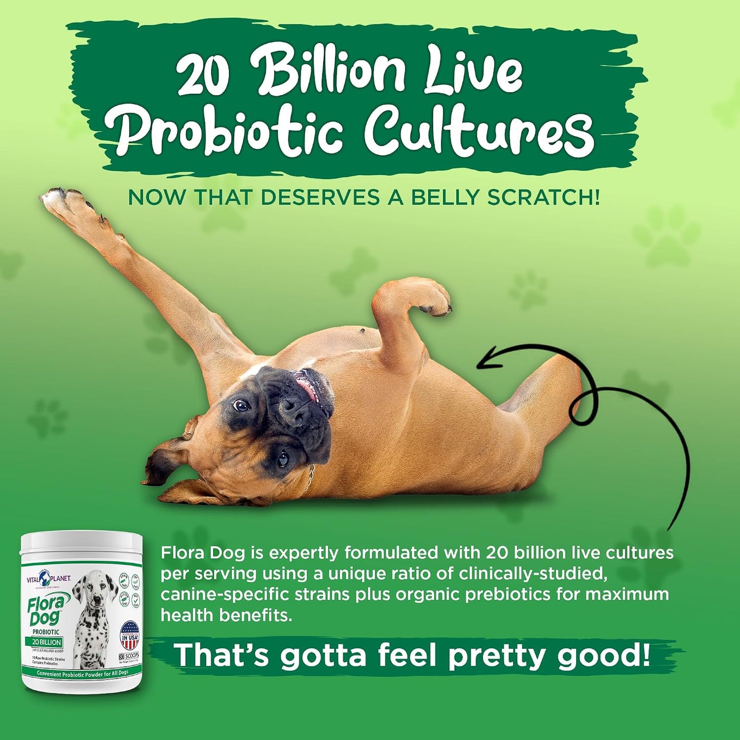 Vital Planet Flora Dog Probiotic Powder – 20 Billion Cultures & 10 Strains for Dogs - görsel 5