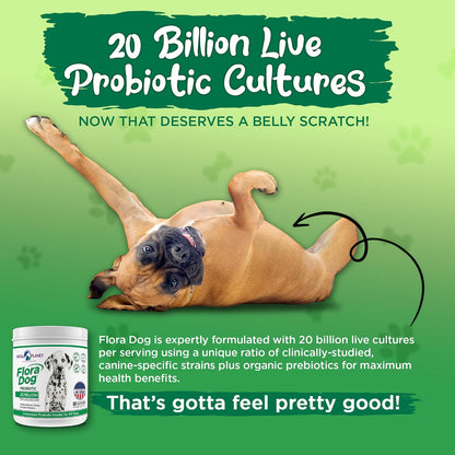 Vital Planet Flora Dog Probiotic Powder – 20 Billion Cultures & 10 Strains for Dogs