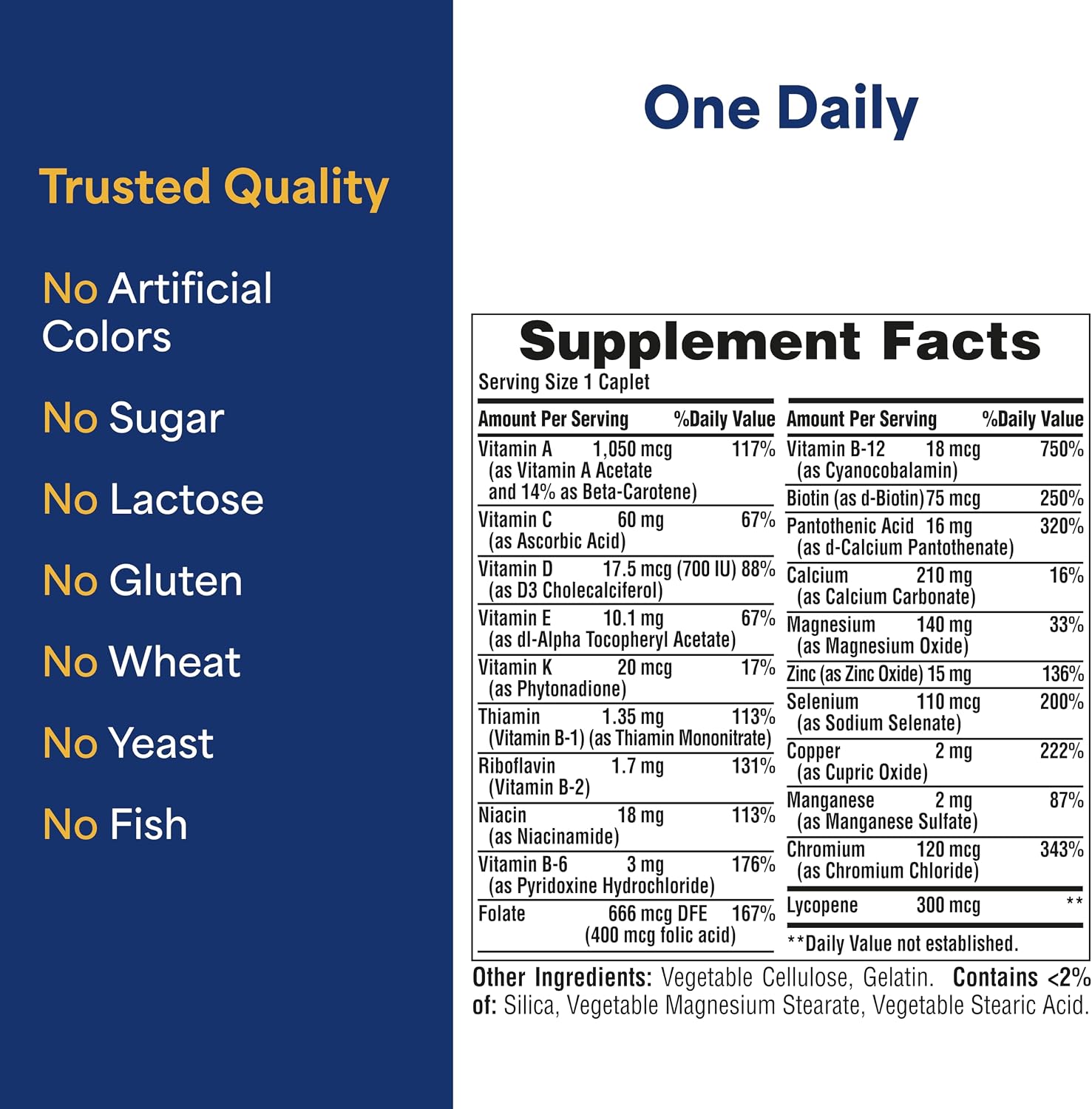 Puritan's Pride One Daily Men's Multivitamin, 100 Count - görsel 5