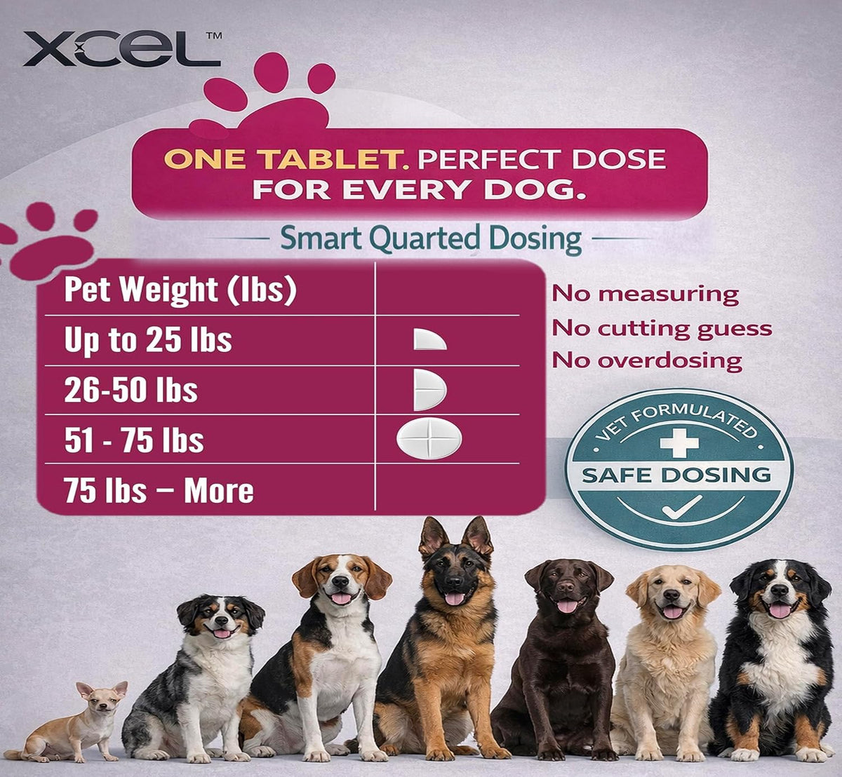 XCEL Taurine for Dogs 1000 mg with L-Carnitine, Quarter-Scored Tablets - görsel 2