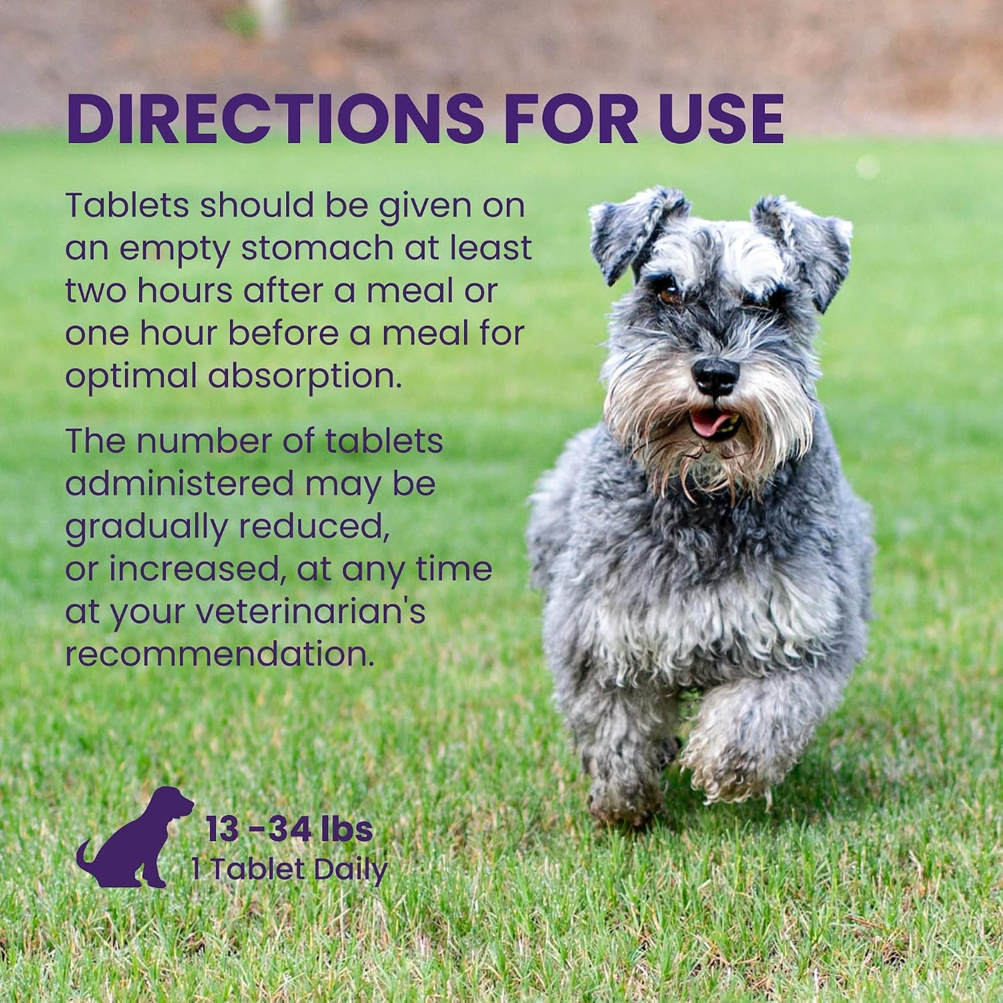 Nutramax Denamarin for Medium Dogs - Liver Support Supplement with SAMe and Silybin, 30 Coated Tablets - görsel 7
