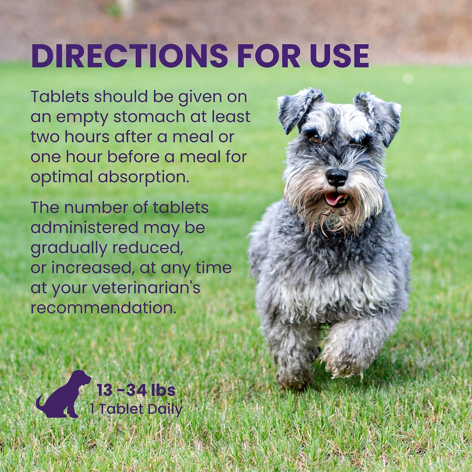 Nutramax Denamarin for Medium Dogs - Liver Support Supplement with SAMe and Silybin, 30 Coated Tablets - görsel 7