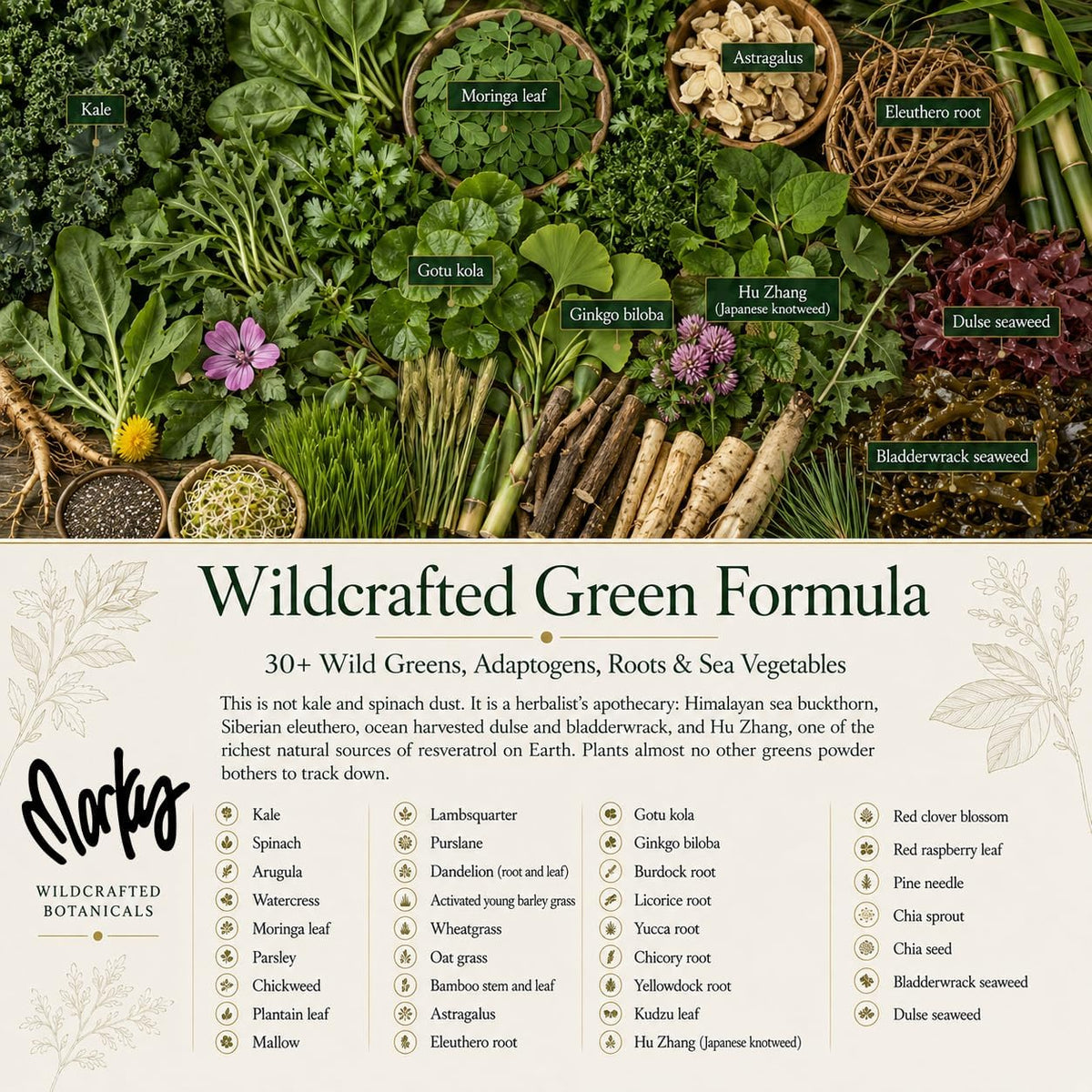 Wild Force GreenPro-C: Pre-Mixed Greens, Protein, and Vitamin C Powder - görsel 5
