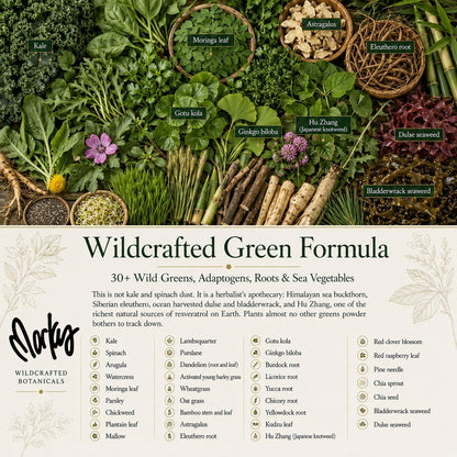 Wild Force GreenPro-C: Pre-Mixed Greens, Protein, and Vitamin C Powder