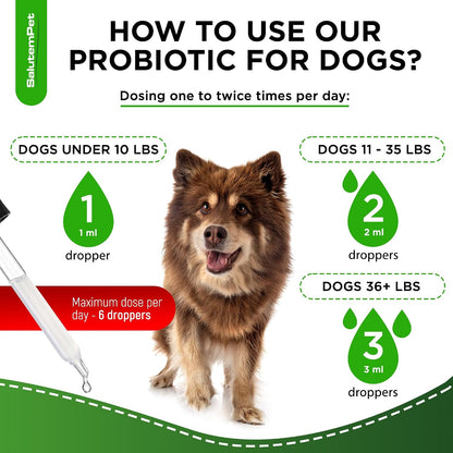 Probiotics for Dogs - Liquid Probiotics with Prebiotics & Digestive Enzymes - Gut Flora Support - Bacon Flavour - 59 ml
