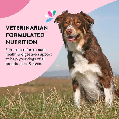 Happy Go Healthy Daily Wellness Supplements for Dogs – Probiotic & Prebiotic with Salmon Oil & Seaweed, 60 Count