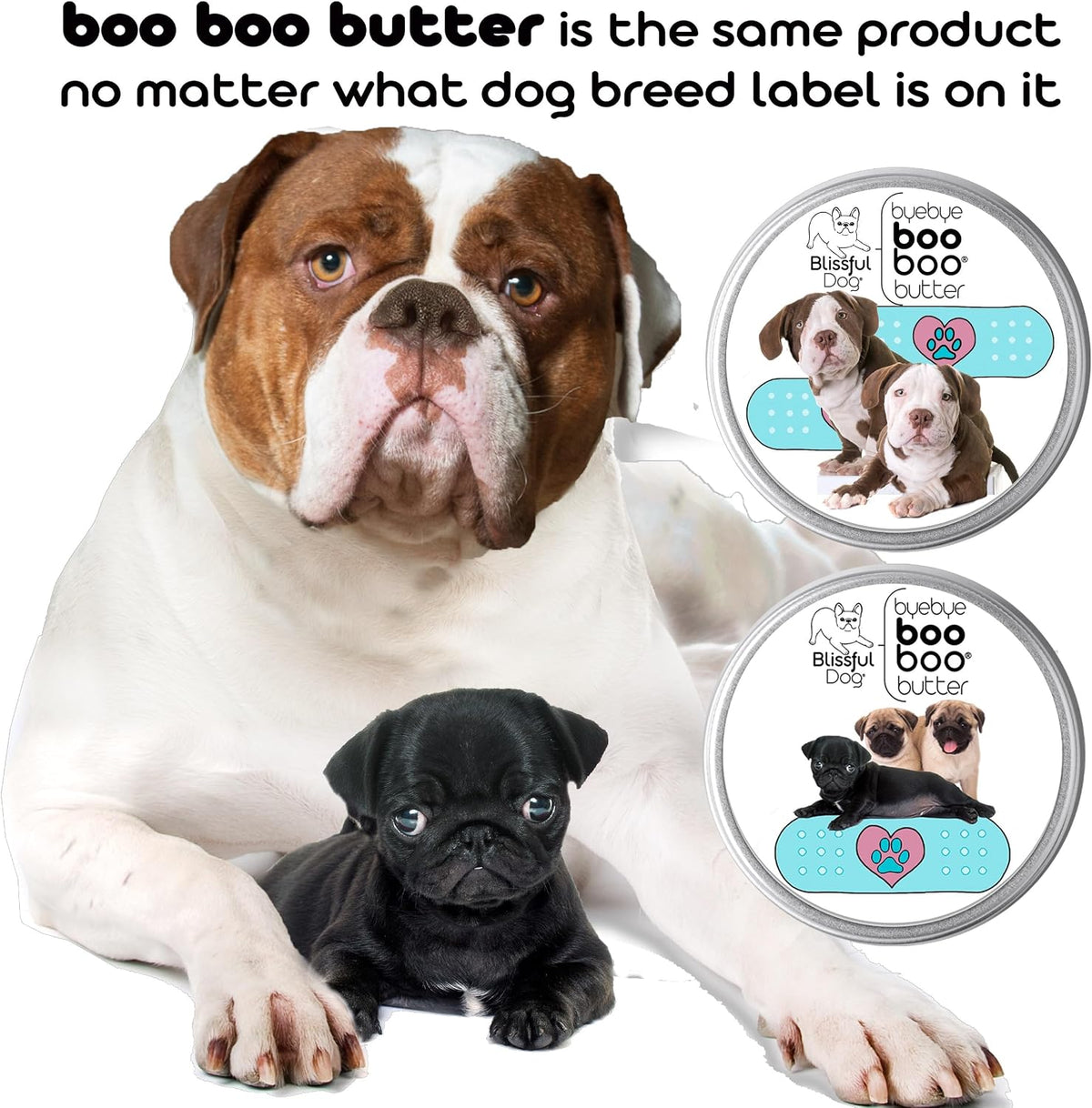 The Blissful Dog Vizsla Booboo Butter - 113 g Tin - görsel 4