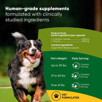 Rooted Owl® Cardio Support for Dogs – L-Carnitine & Taurine – 60 Vegan Caps