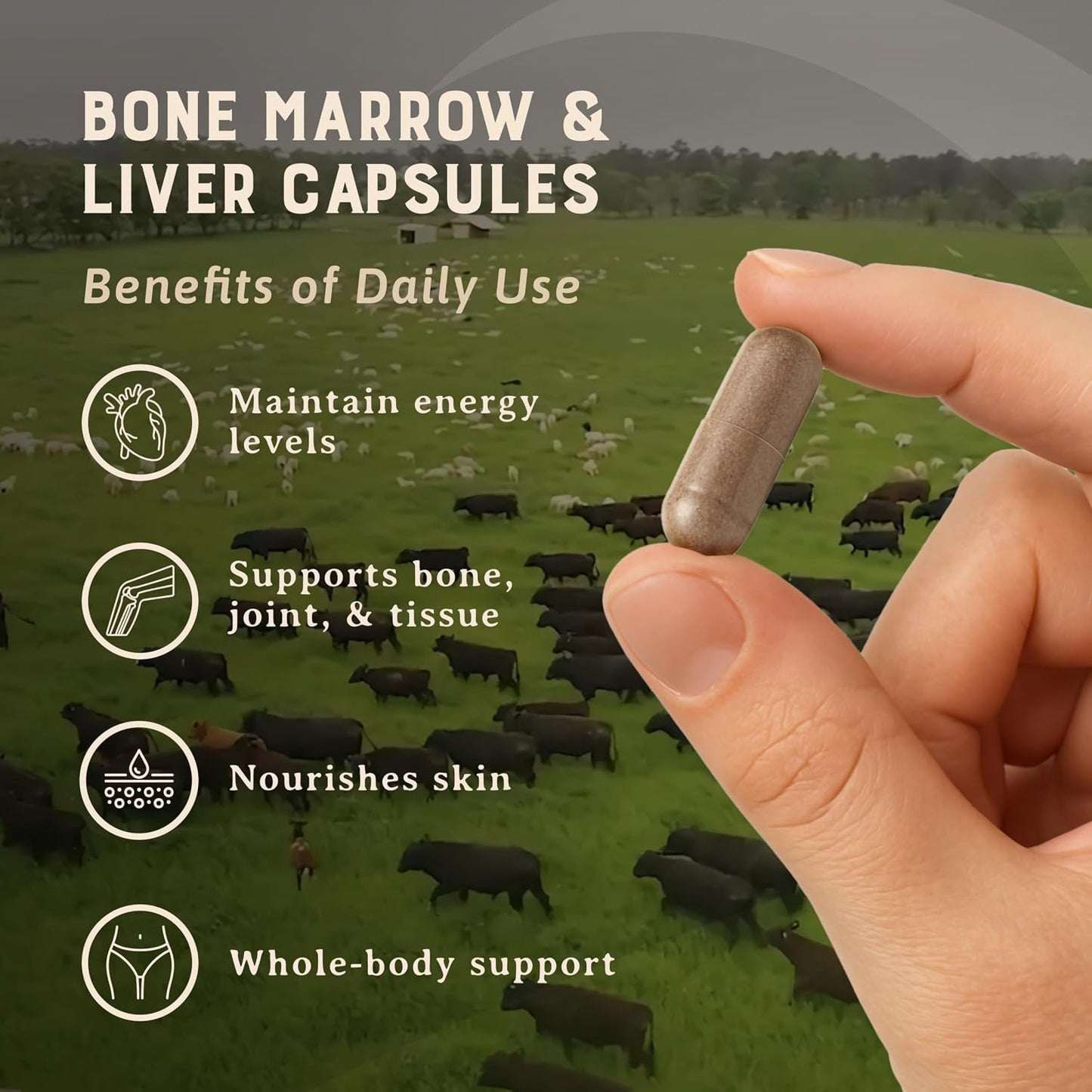 Heart & Soil 100% Grass Fed Bone Marrow & Beef Liver Supplement – 180 Capsules - görsel 3
