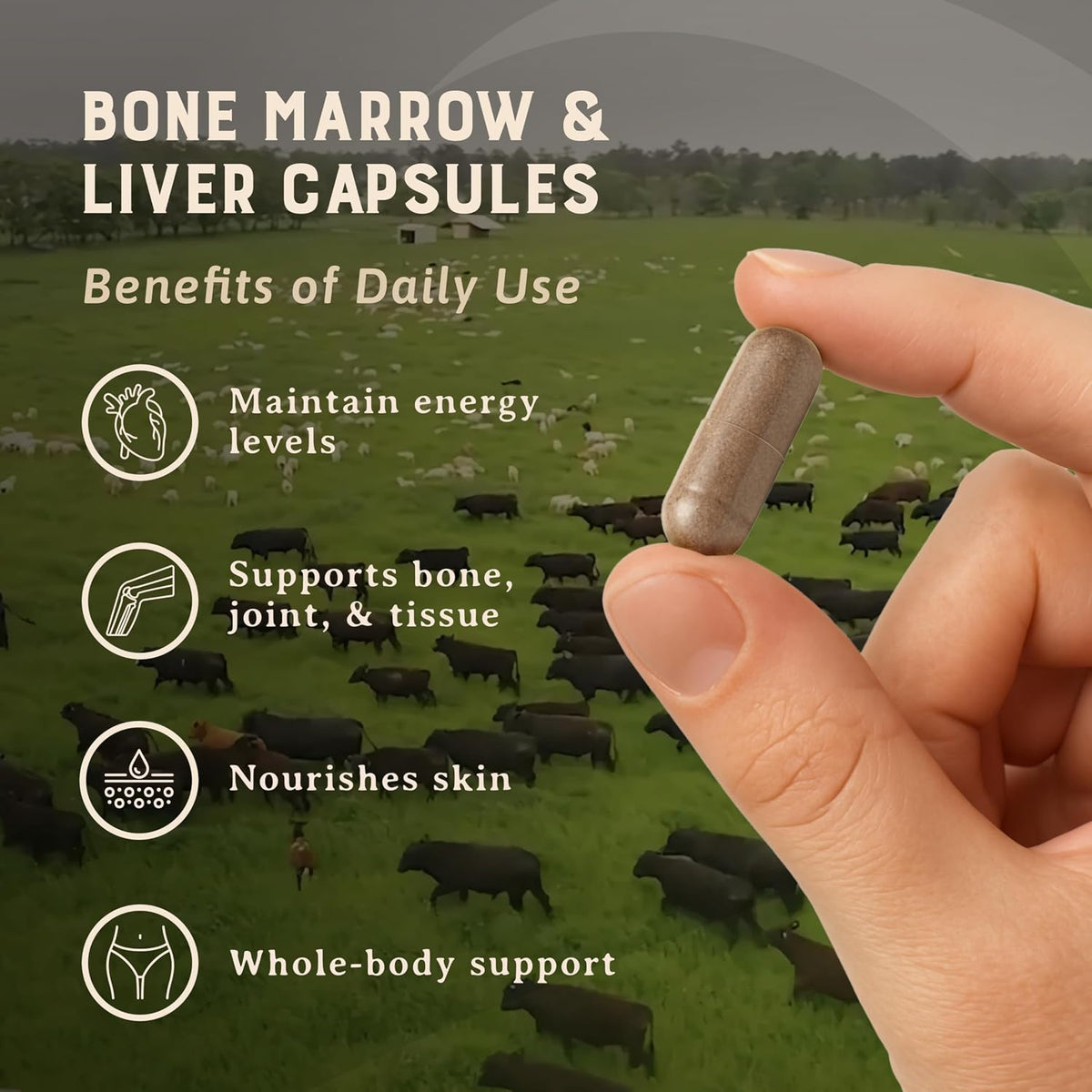 Heart & Soil 100% Grass Fed Bone Marrow & Beef Liver Supplement – 180 Capsules - görsel 3