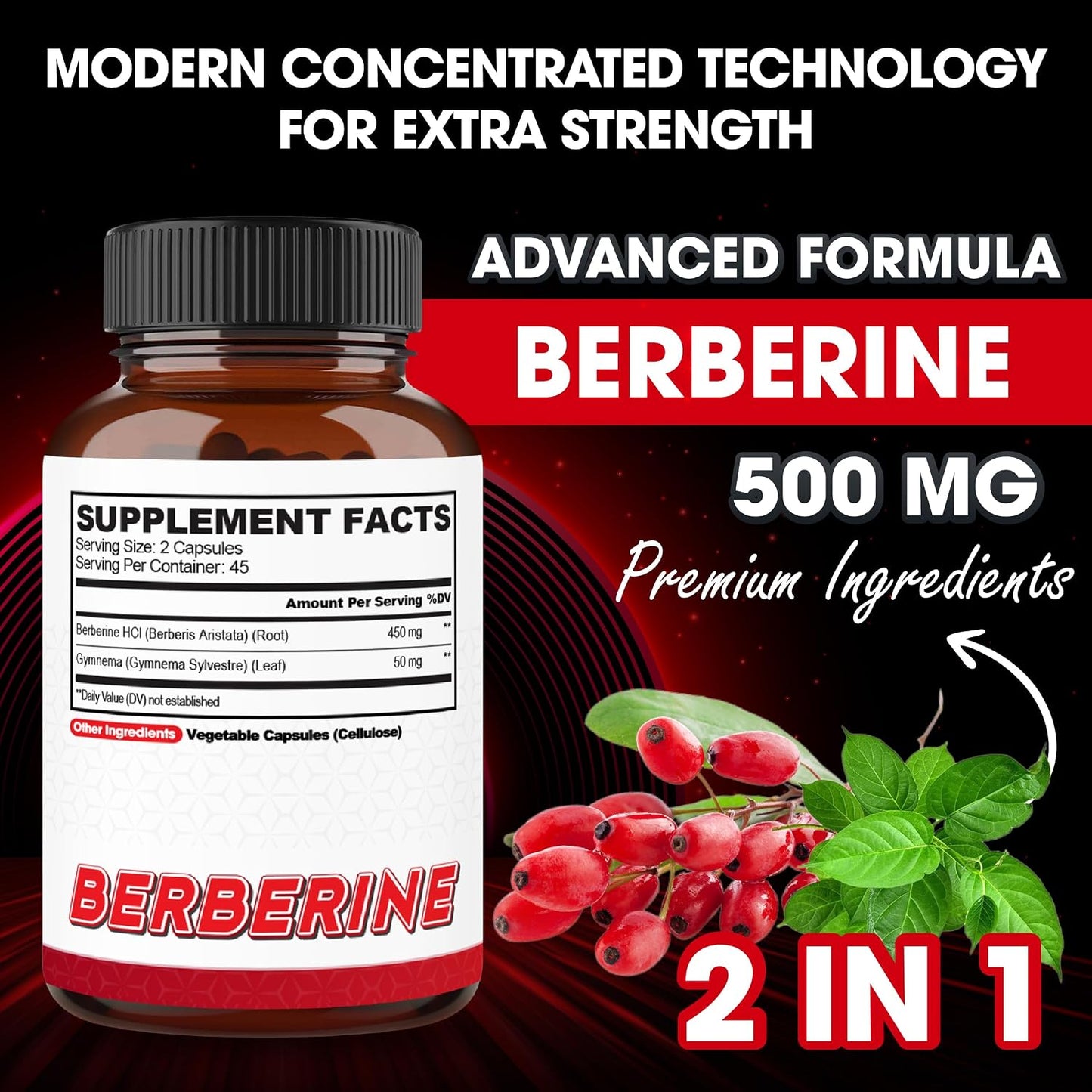 Agobi Berberine Supplements 500mg with Gymnema Sylvestre - Super Concentrated Formula - görsel 2
