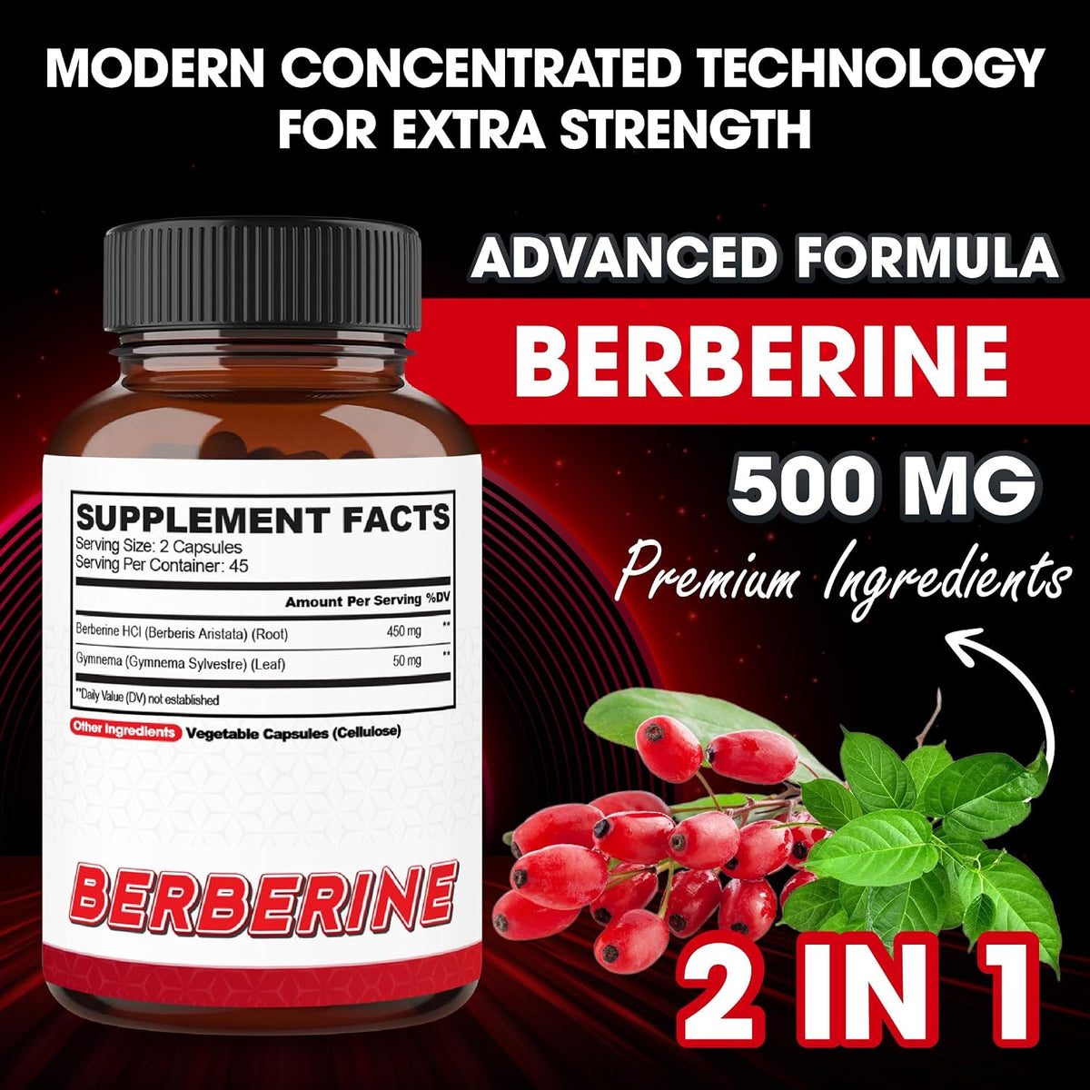 Agobi Berberine Supplements 500mg with Gymnema Sylvestre - Super Concentrated Formula - görsel 2