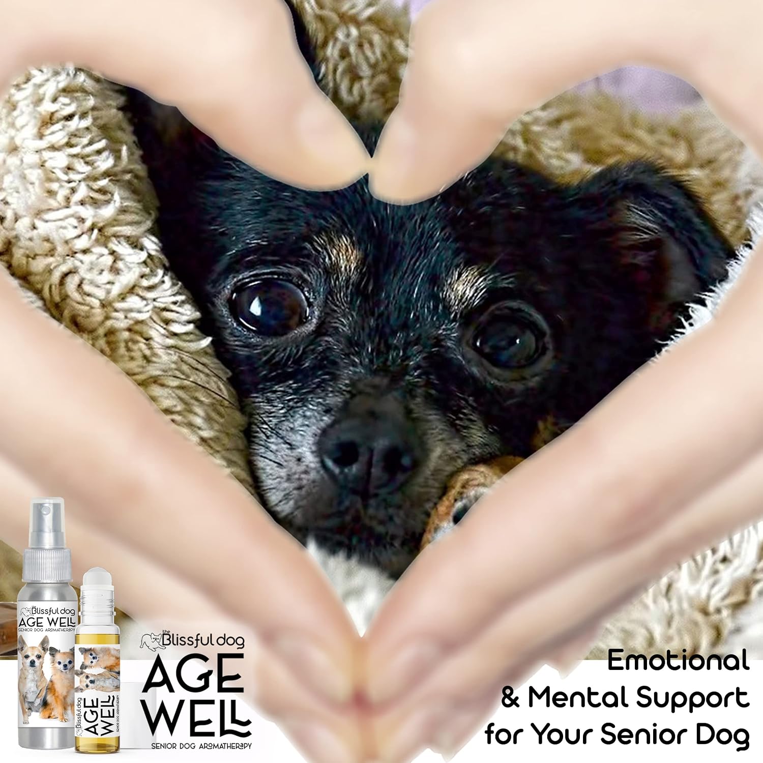 The Blissful Dog Chihuahua Age Well Spray Aromatherapy - görsel 2