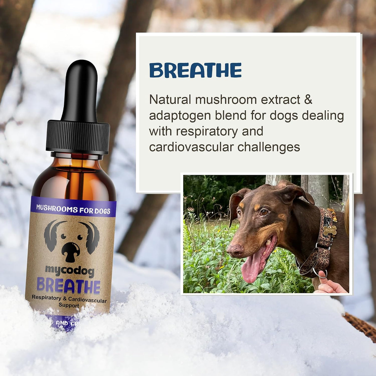 Breathe Dog Allergy Relief Drops 2 fl. oz.: Mushroom Extracts & Ashwagandha Tincture - görsel 2