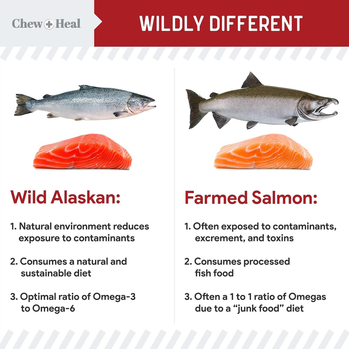 Pure Wild Alaskan Salmon Oil for Dogs - 473 ml. Beef Flavoured Salmon Oil - Pump Cap Bottle - görsel 5