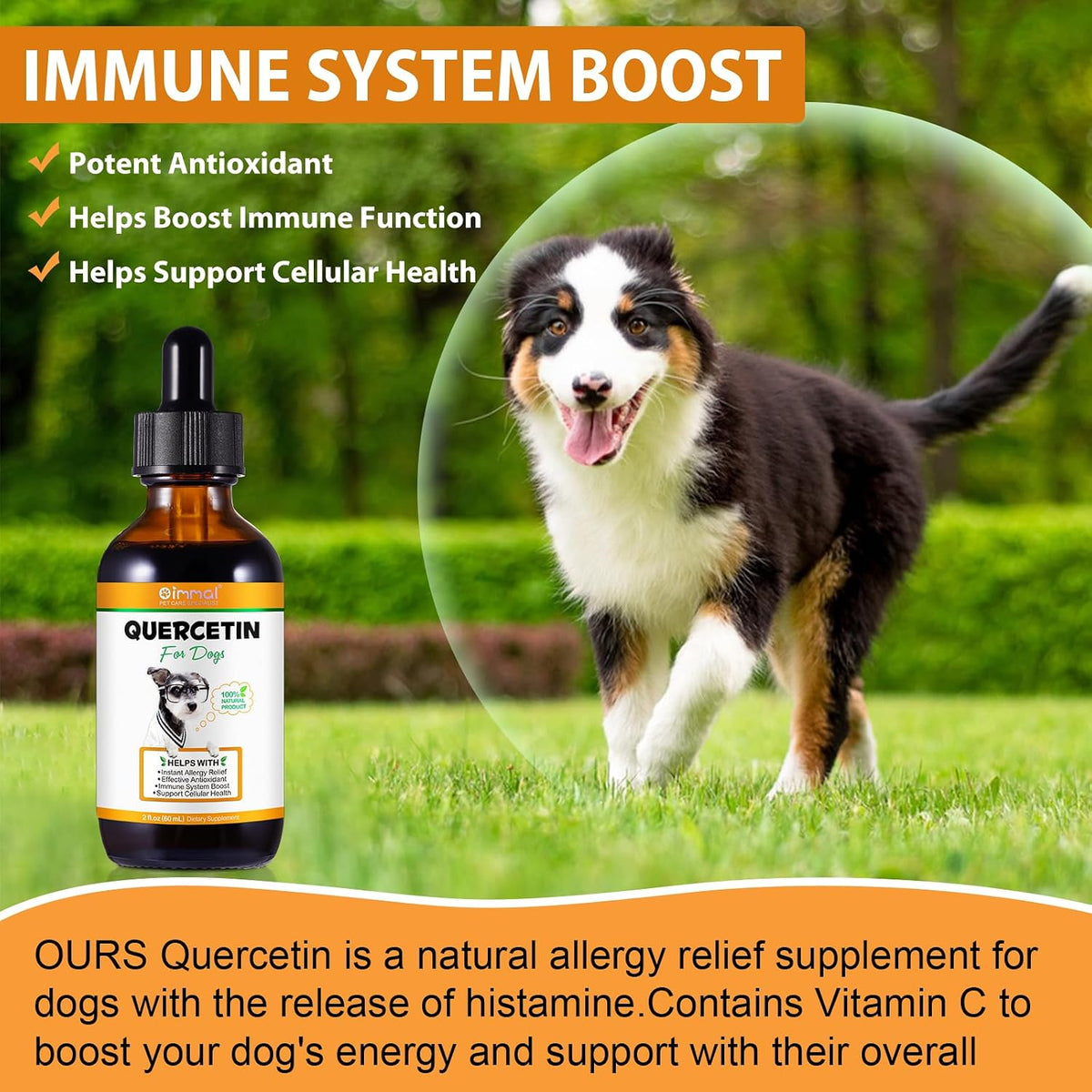 Quercetin for Dogs - Liquid Drops for Allergy Relief & Immune Support, 60 ml - görsel 5