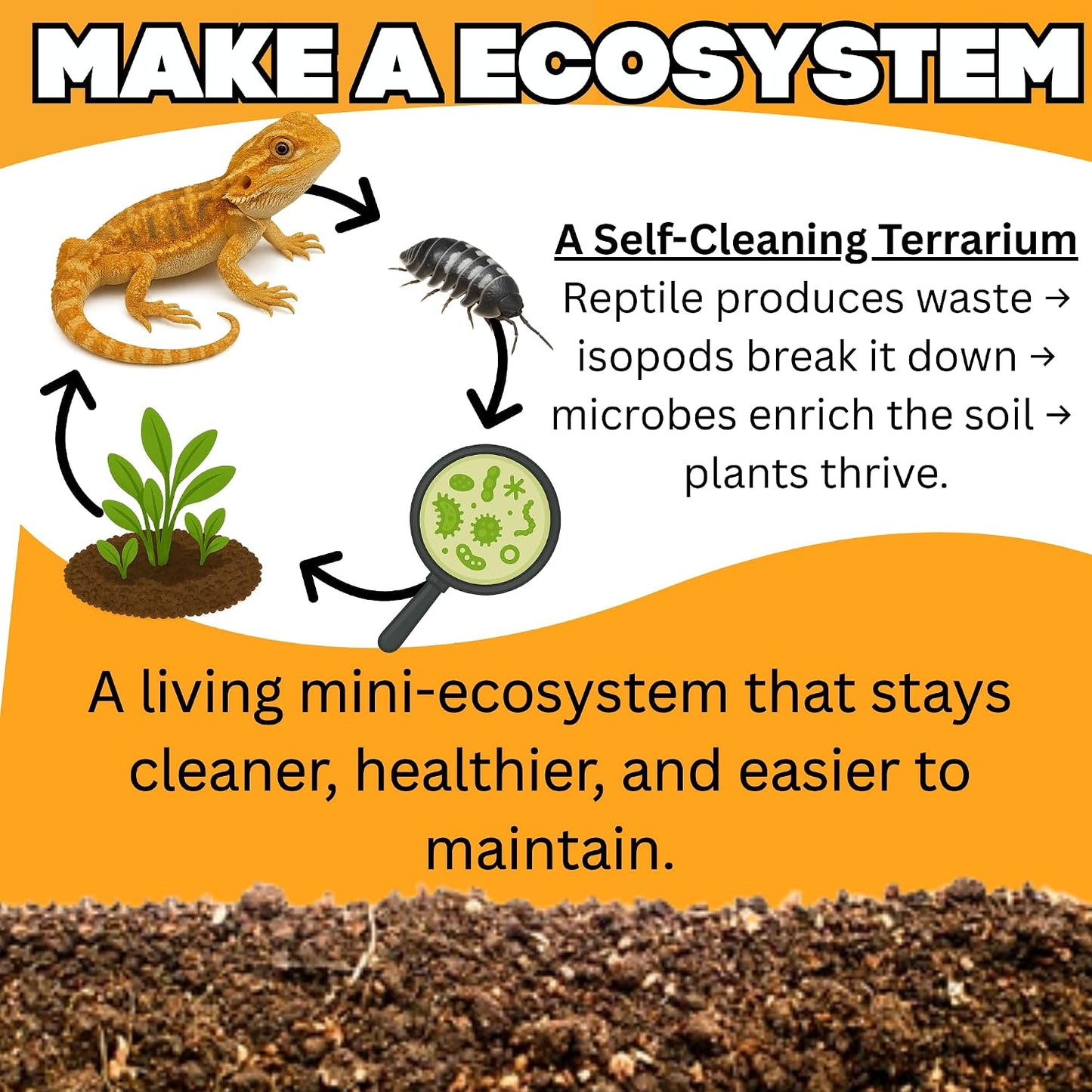 Bioactive Combo | 25 Powder Orange Isopods | 8 oz Coco Temperate Springtails | Live Delivery Guaranteed - görsel 9